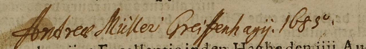 Greiffenhagius_fin